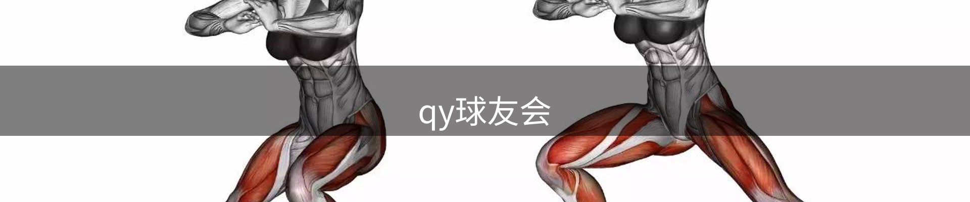 qy球友会-官方网站